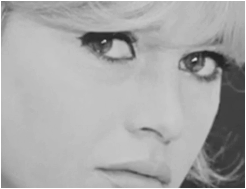 Morte di Brigitte Bardot, l’icona ribelle del cinema francese ci lascia a 91 anni
