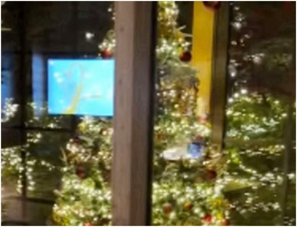 Antonella Clerici svela i suoi stupendi addobbi natalizi, un trionfo di colori e creativitÃ