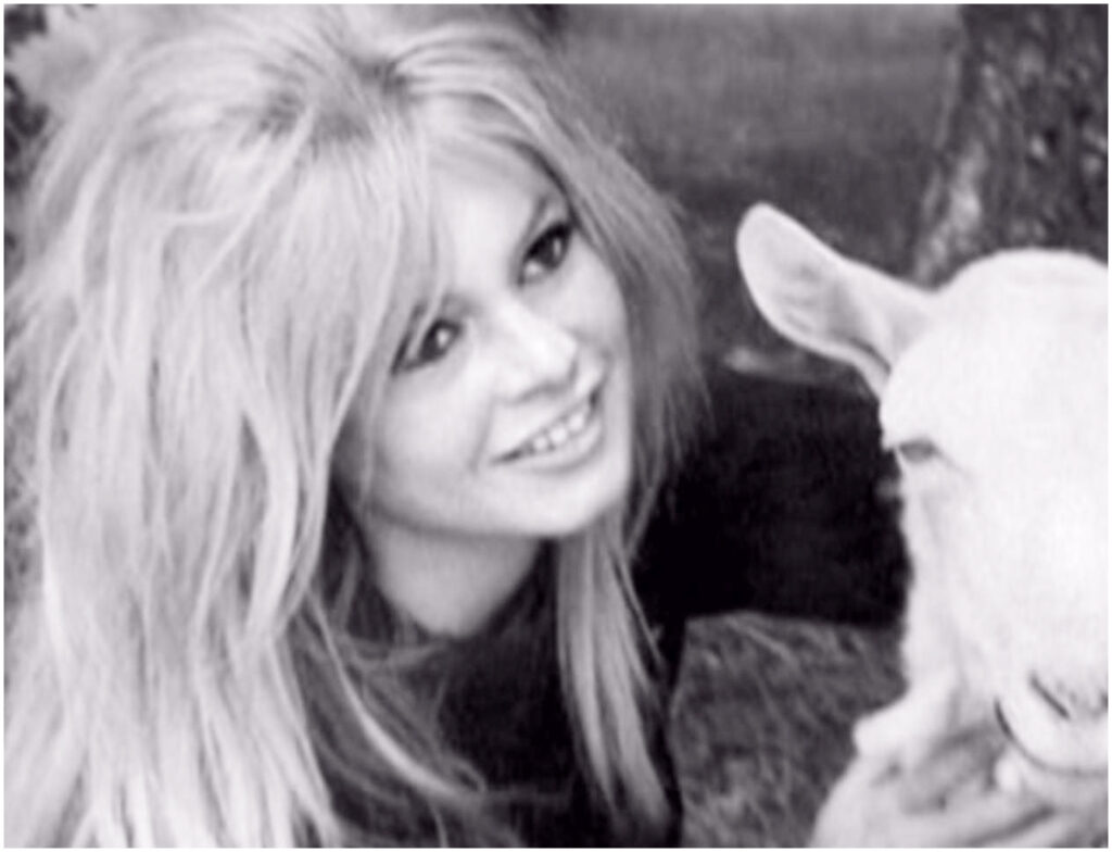 Omaggi a Brigitte Bardot di Milena Gabanelli e Anna Falchi accendono polemiche e discussioni