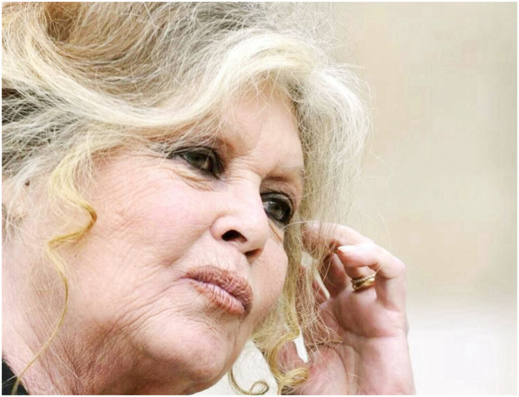 Brigitte Bardot, i dettagli della sua morte e il conflitto ereditario tra il figlio e la fondazione