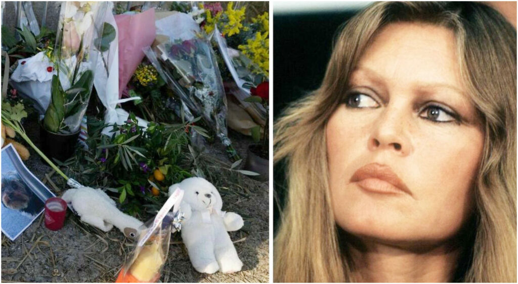 Brigitte Bardot sarà sepolta al cimitero marino di Saint Tropez contro la sua volontà e i suoi desideri