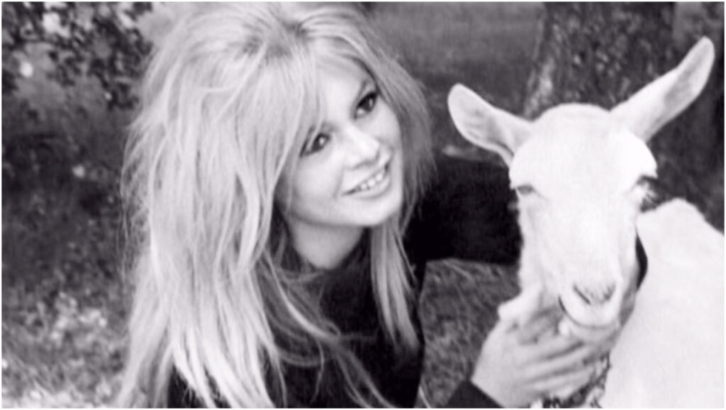 Brigitte Bardot rivela il suo ultimo desiderio per la sepoltura e la gestione dell’ereditÃ