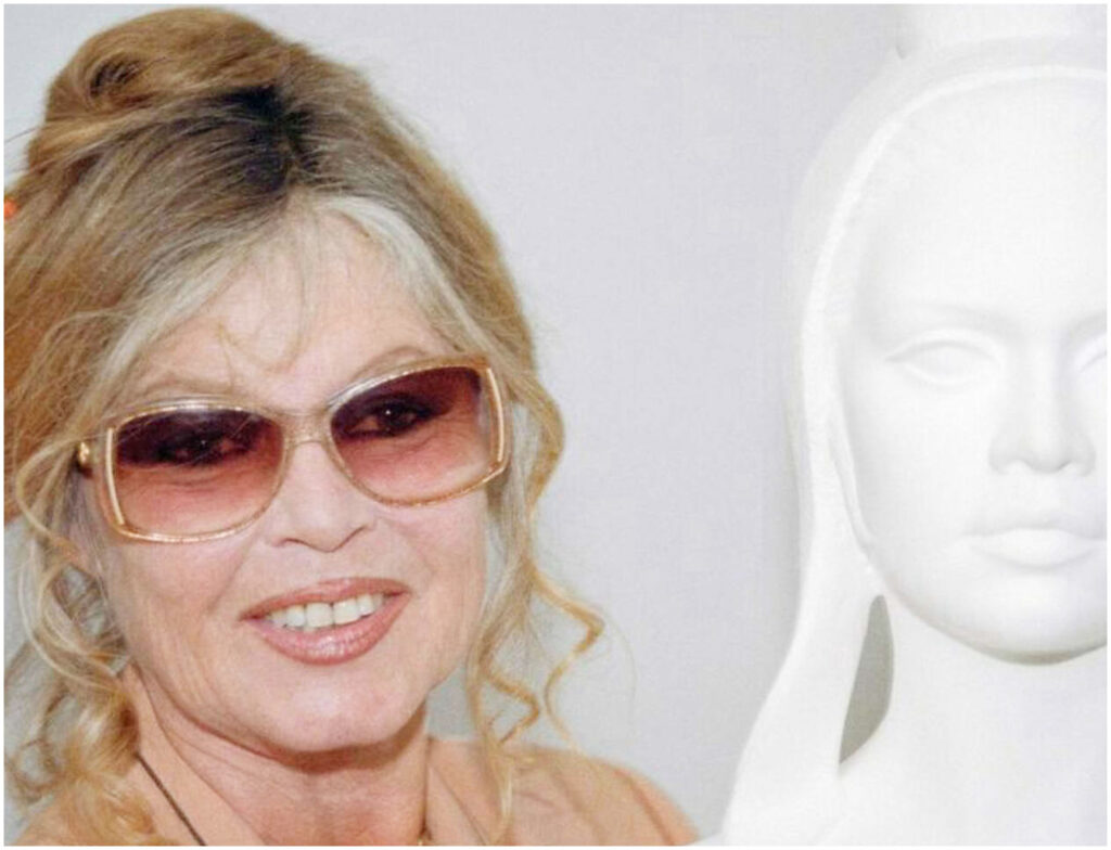 Brigitte Bardot, guerra di successione: mistero sui 65 milioni tra famiglia e fondazione