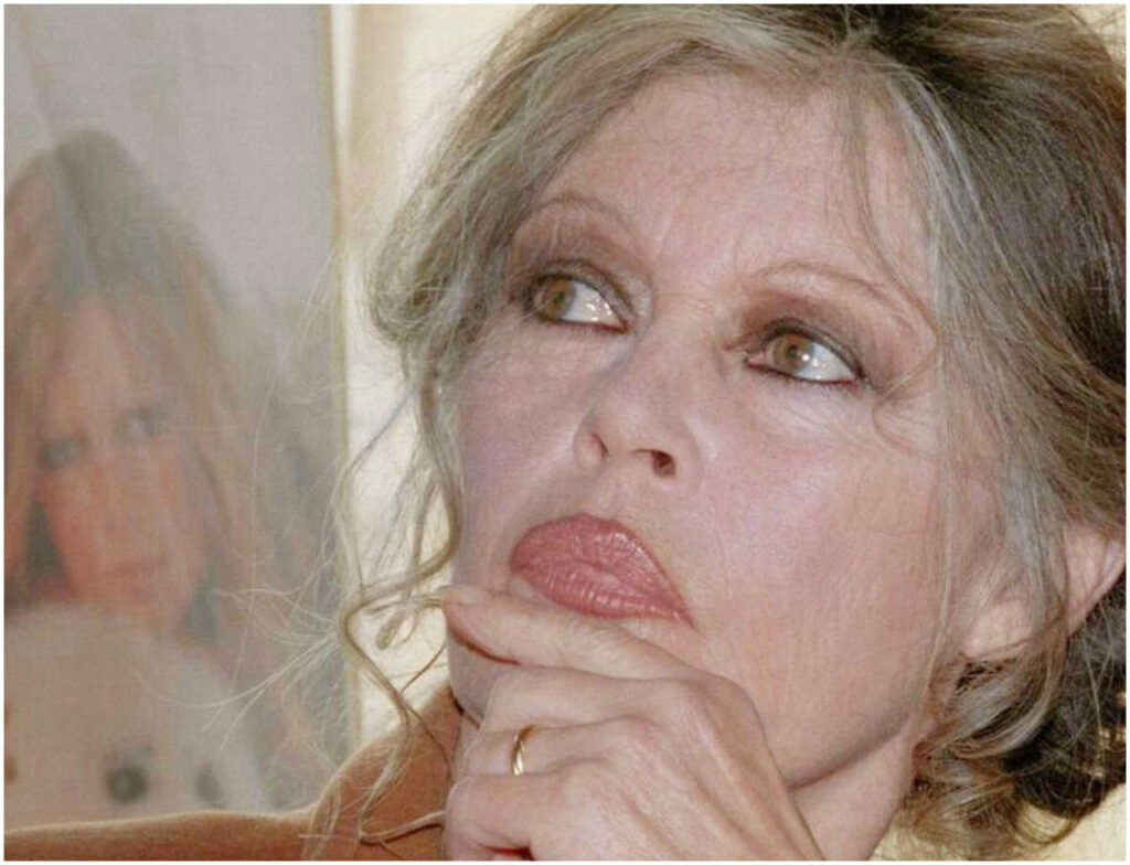Brigitte Bardot, ricoveri e malattia: l’assenza dell’attrice e la vita a La Madrague