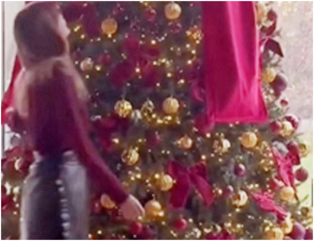 Cristina Chiabotto condivide le immagini dei suoi festosi addobbi natalizi per le feste