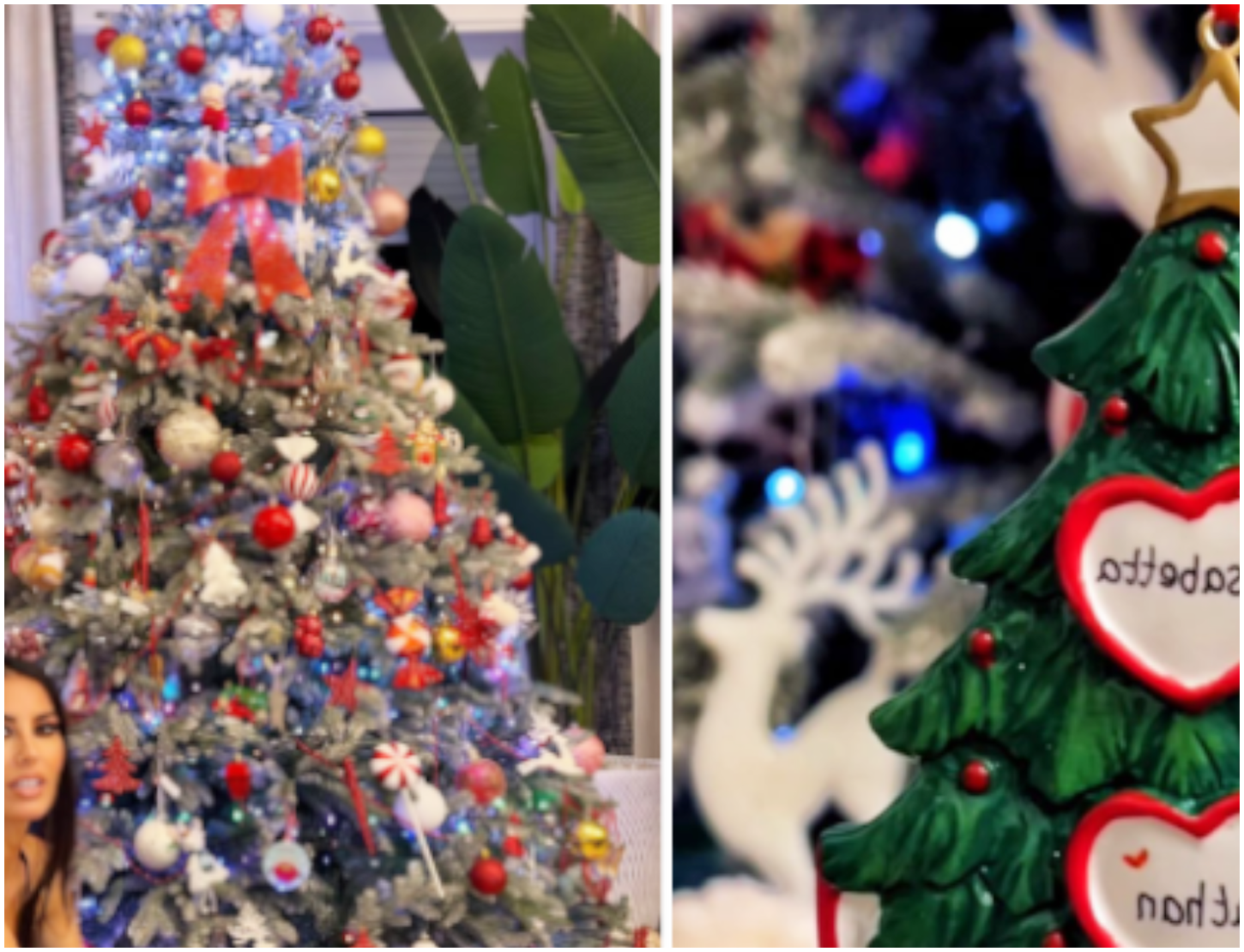 Elisabetta Gregoraci presenta il suo albero di Natale, un’opera d’arte festiva spettacolare