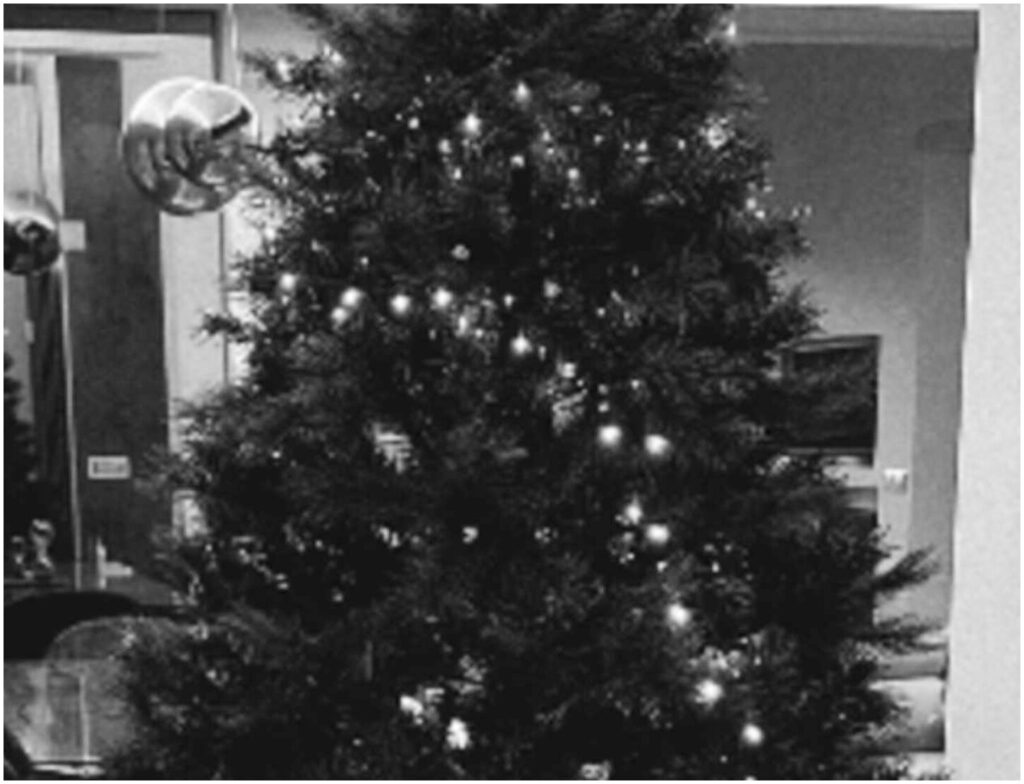 Filippo Bisciglia racconta il suo imprevisto con l’albero di Natale: cosa è successo realmente?