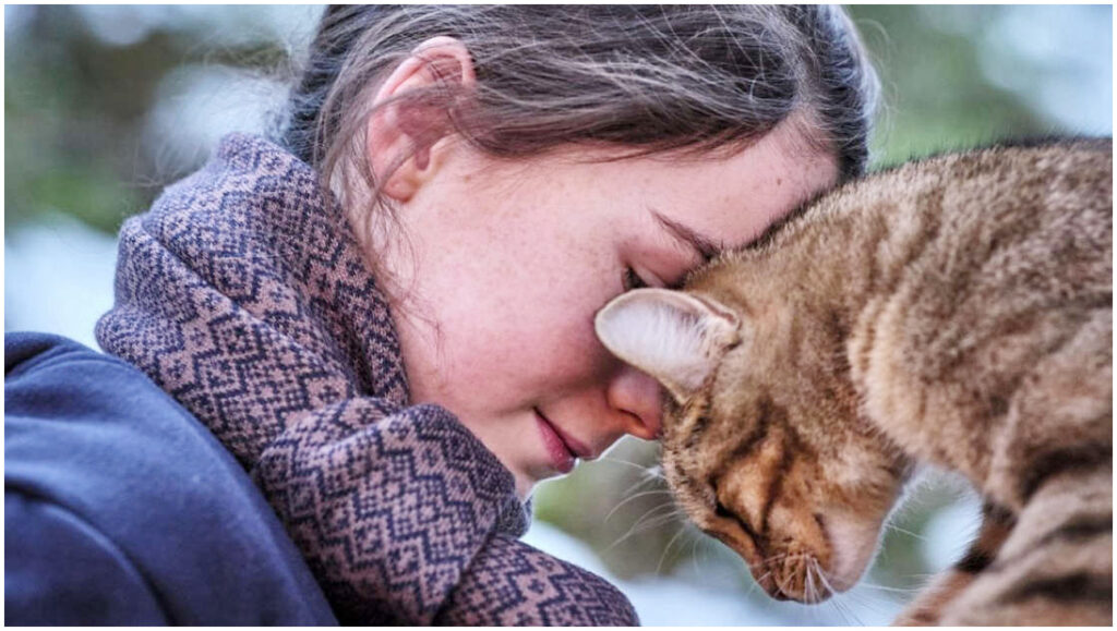 Vita da gatto su Rai 3: trama del film francese adatto a tutta la famiglia in onda stasera