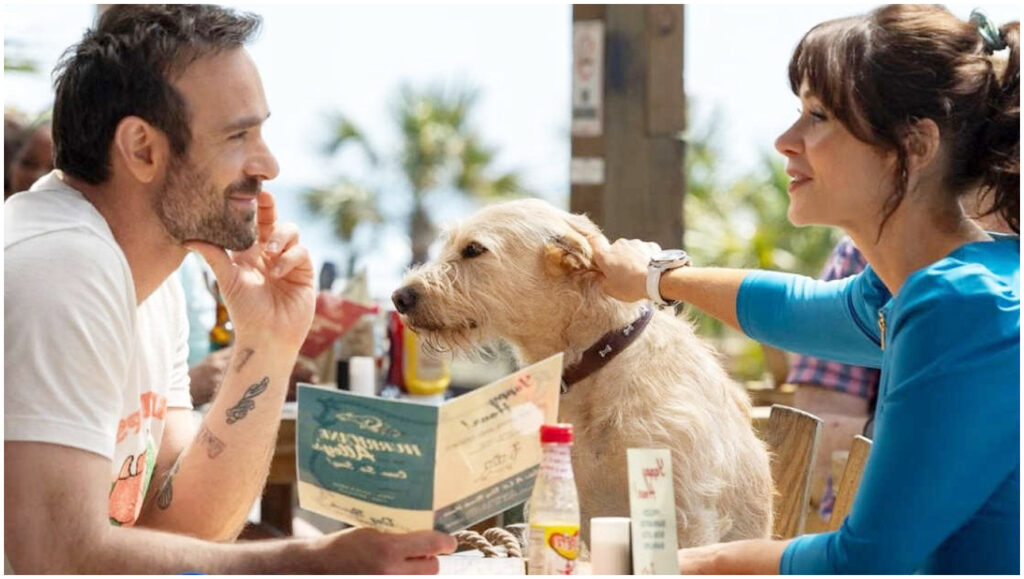 Merv, la recensione del film disponibile su Prime Video analizza trama e interpretazioni