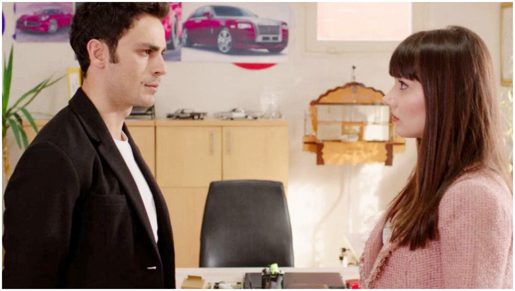 Forbidden Fruit, anticipazioni 22 dicembre: Dundar minaccia Zeynep e Ender perde il controllo