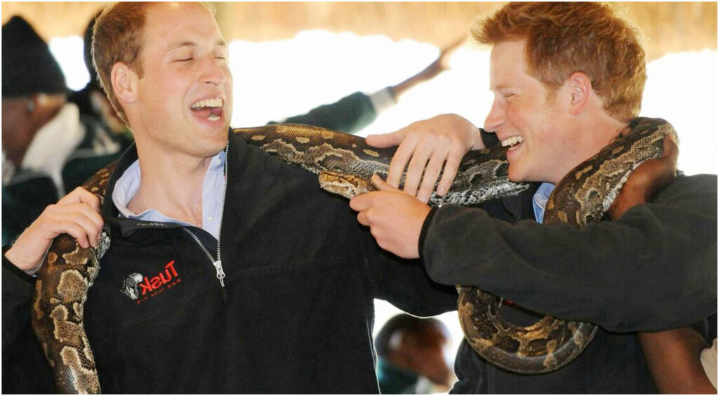 Il progetto a lungo termine del principe Harry per una corte alternativa a quella di William