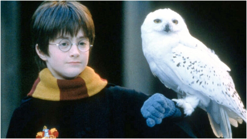 Stasera in tv: scopri i 5 film e programmi imperdibili di giovedì 25 dicembre 2025