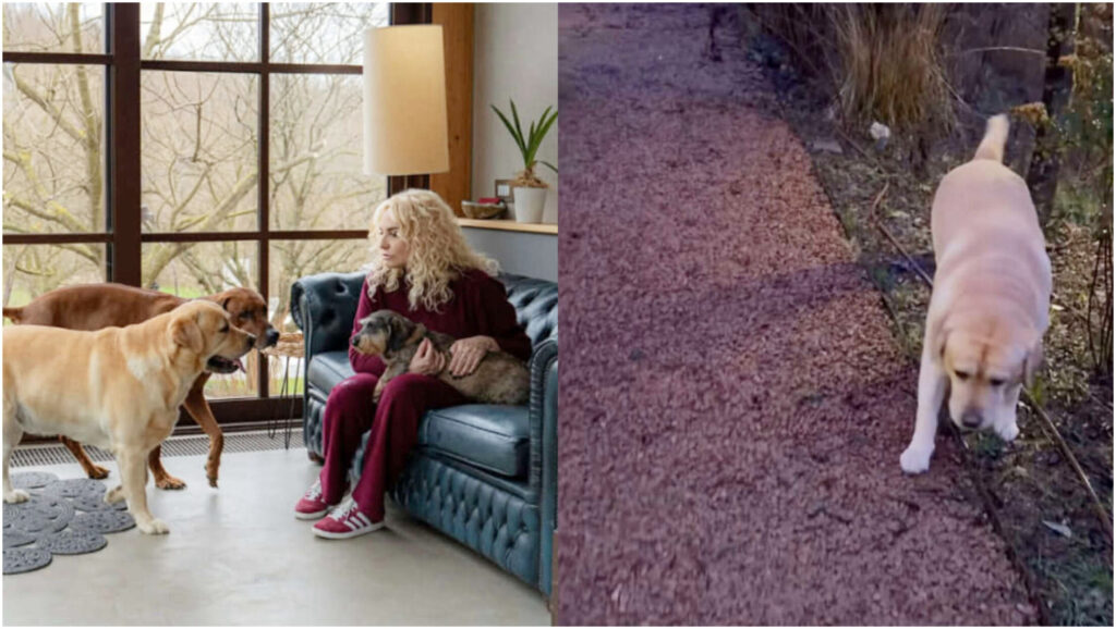 Antonella Clerici passeggia con il suo cane nell’incantevole casa nel bosco: le foto inedite