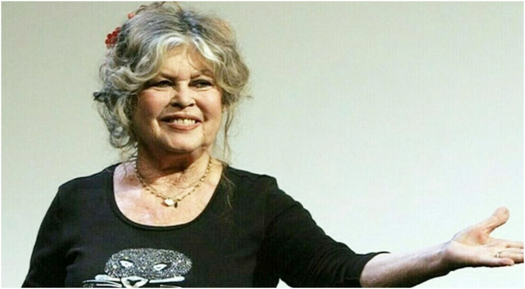 Brigitte Bardot e la sua famiglia in contestazione legale sul testamento da 70 milioni di euro