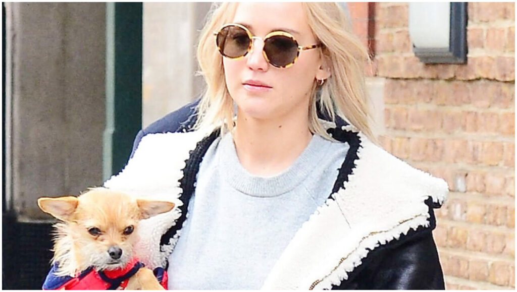 Jennifer Lawrence criticata online per il modo in cui ha trattato il suo cane