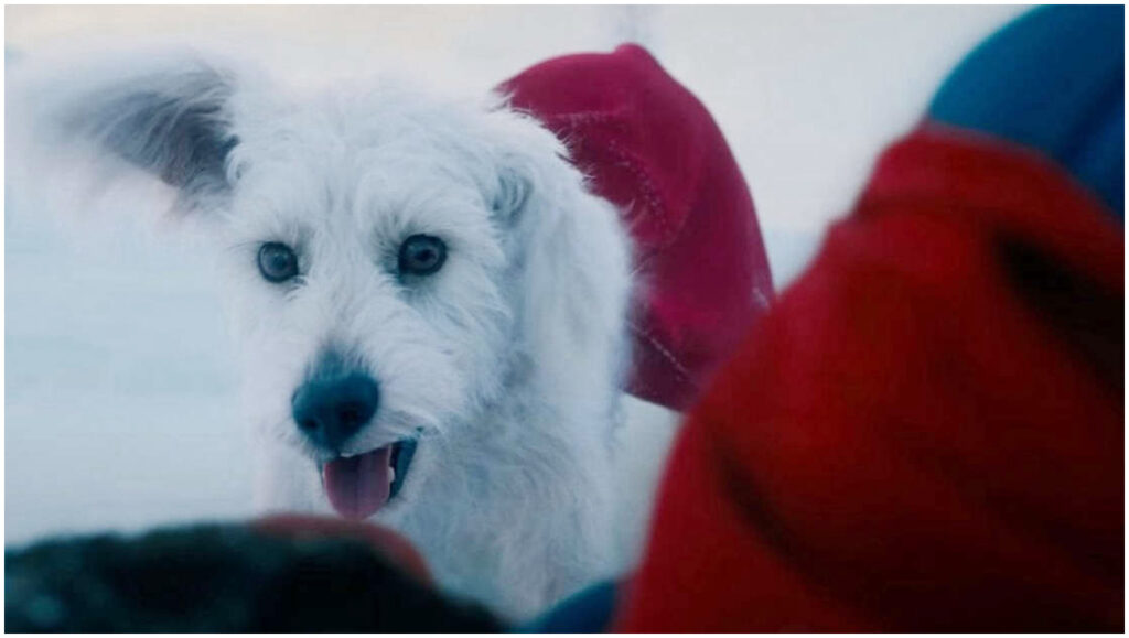 Superman svela una scena inedita con Krypto, il cane del supereroe, nel nuovo script
