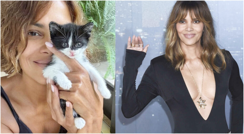 Quattro anni di singletudine dopo tre divorzi: ho riscoperto l’amore senza fretta di un matrimonio.