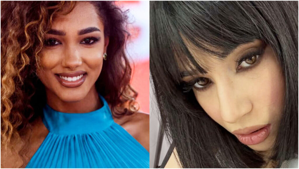 Stefano De Martino punta su una ballerina di Affari Tuoi per contrastare Samira