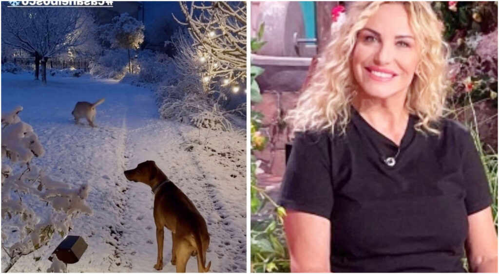 Antonella Clerici e Vittorio Garrone: la loro casa nel bosco ad Arquata Scrivia tra giardino e palestra privata