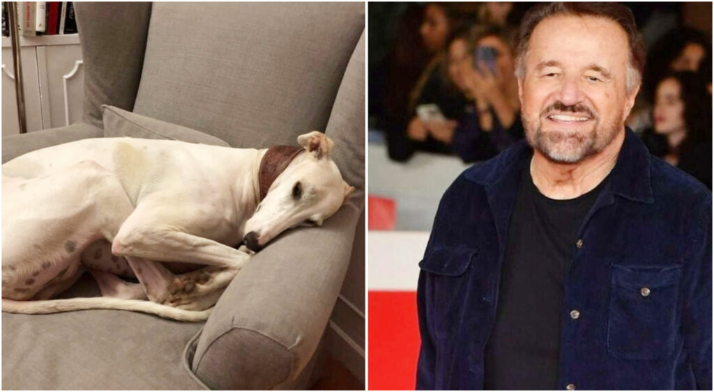 Christian De Sica commosso per la morte della sua amata cagnolina Meri: un dolore indescrivibile