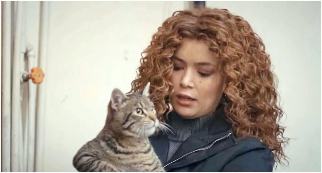 Şirin Sarikadi perde tutto: dall’omicidio al licenziamento