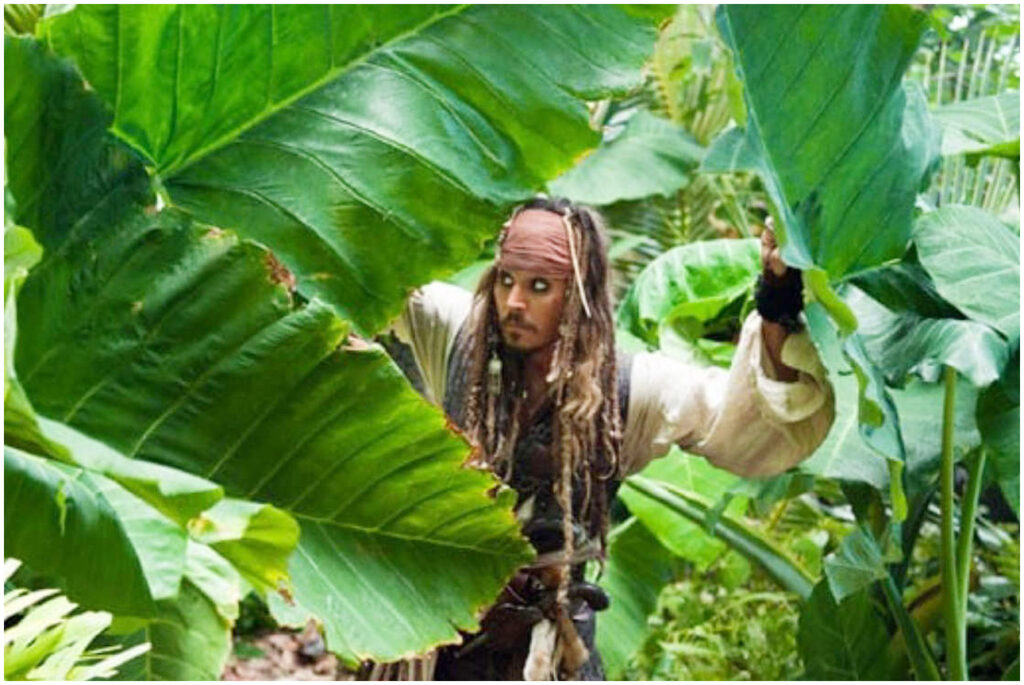 Pirati dei Caraibi 6, Johnny Depp potrebbe tornare nel progetto