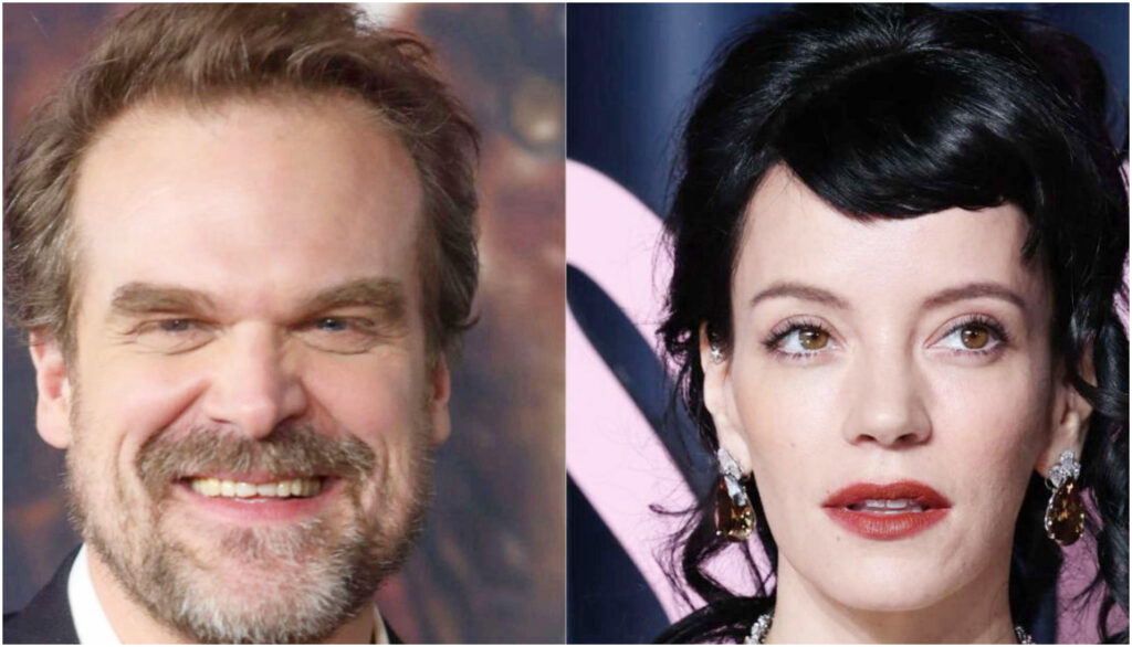 Lily Allen accusa David Harbour di infedeltà indossando un revenge dress in un evento pubblico