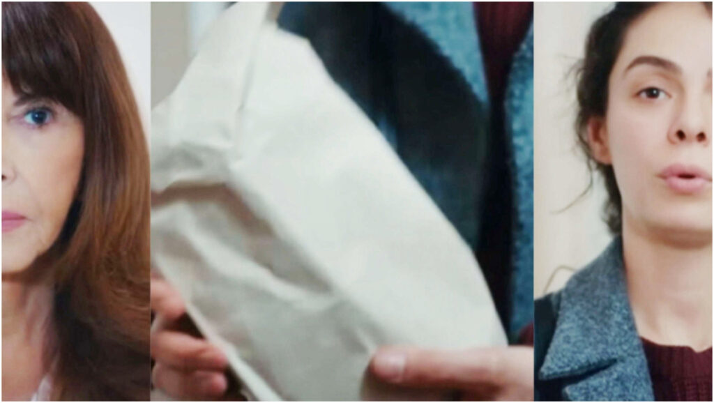 La forza di una donna, spoiler 26 aprile: Bahar svela a Fazilet l’incredibile eredità che le spetta